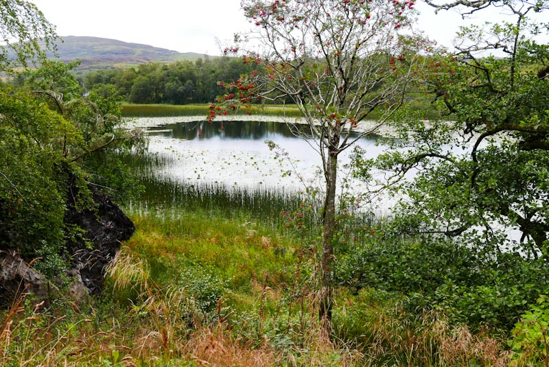 Loch Ballygrant